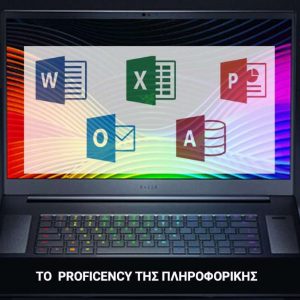 proficiency-computer-expert-ereyna