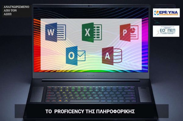 proficiency-computer-expert-ereyna